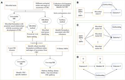 Identifying and ranking causal microbial biomarkers for colorectal cancer at different cancer subsites and stages: a Mendelian randomization study